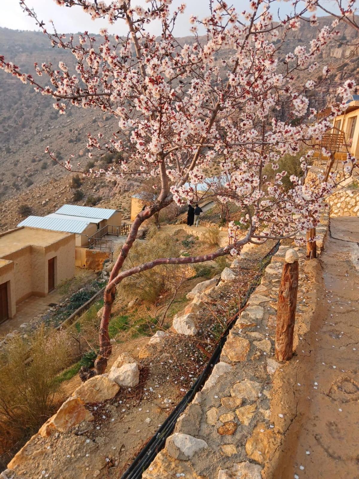 Dana Village Camp-Wadi Dana Eco Camp Ngoại thất bức ảnh